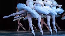 Like a strong brand ballerinas dance</p>...                    </span>
                                                                            </li>
                                                <li class=